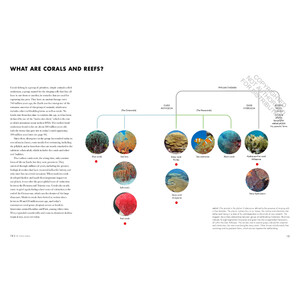 CORAL REEFS: A NATURAL HISTORY. AN ILLUSTRATED LOOK AT CORALS FROM AROUND THE WORLD_1