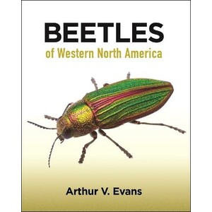 BEETLES OF WESTERN NORTH AMERICA