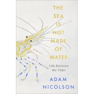 THE SEA IS NOT MADE OF WATER