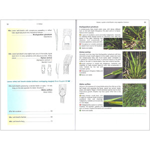 GRASSES: A GUIDE TO IDENTIFICATION USING VEGETATIVE CHARACTERS_1