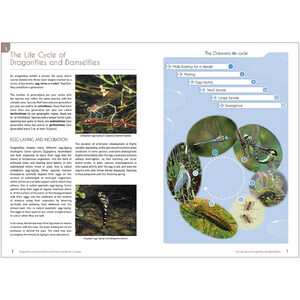DRAGONFLIES AND DAMSELFLIES OF BRITAIN AND WESTERN EUROPE. A PHOTOGRAPHIC GUIDE 2