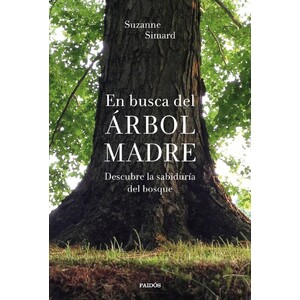 EN BUSCA DEL ÁRBOL MADRE