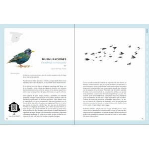 EL SONIDO DE LA NATURALEZA. CALENDARIO SONORO DE LOS PAISAJES DE ESPAÑA 4