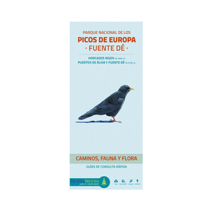 PARQUE NACIONAL DE LOS PICOS DE EUROPA. FUENTE DÉ. CAMINOS, FAUNA Y FLORA. GUÍAS DE CONSULTA RÁPIDA 1