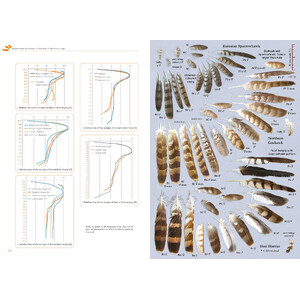 FEATHERS. AN IDENTIFICATION GUIDE TO THE FEATHERS OF WESTERN BIRDS 7