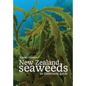 NEW ZEALAND SEAWEEDS. AN ILLUSTRATED GUIDE