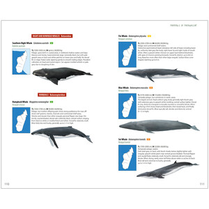 MAMMALS OF MADAGASCAR 4