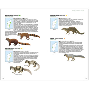 MAMMALS OF MADAGASCAR 5