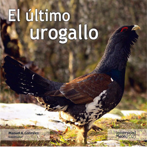 EL ÚLTIMO UROGALLO
