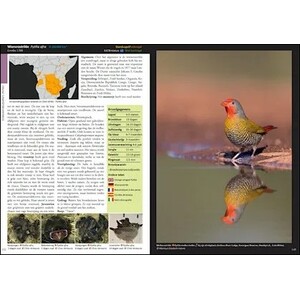ESTRILDID FINCHES OF THE WORLD. A PHOTOGRAPHIC, DESCRIPTIVE AND FACTUAL GUIDE TO ALL 34 GENERA OF ESTRILDIDAE INCLUDING VAXBILLS. SEEDCRACKERS, NIGRIT 3