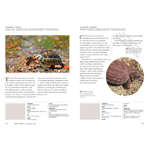 TURTLES OF THE WORLD. A GUIDE TO EVERY FAMILY_1