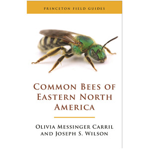 PRINCETON FIELD GUIDES COMMON BEES OF EASTERN NORTH AMERICA