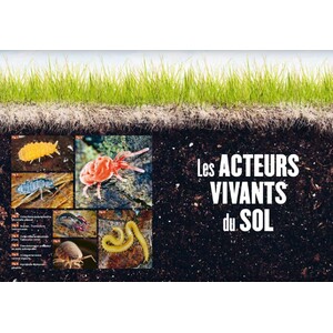LA VIE DU SOL DE NOS JARDINS 2