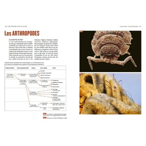 LA VIE DU SOL DE NOS JARDINS 4