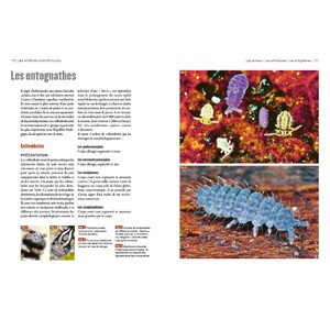 LA VIE DU SOL DE NOS JARDINS 5