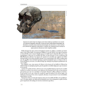 COEXISTENCIA. UN VIAJE POR LAS RELACIONES ENTRE CARNÍVOROS Y HUMANOS 3