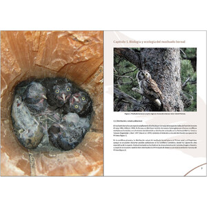 MANUAL PARA LA GESTIÓN DEL HÁBITAT DEL MOCHUELO BOREAL 3