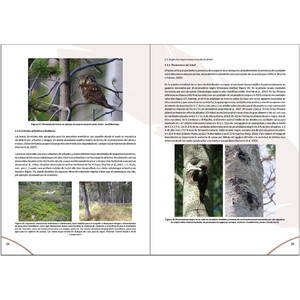MANUAL PARA LA GESTIÓN DEL HÁBITAT DEL MOCHUELO BOREAL 4