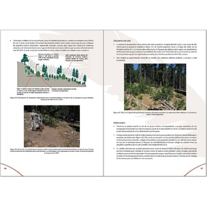 MANUAL PARA LA GESTIÓN DEL HÁBITAT DEL MOCHUELO BOREAL 5