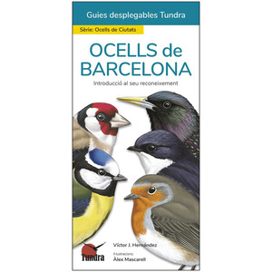 OCELLS DE BARCELONA. INTRODUCCIÓ AL SEU RECONEIXEMENT. GUIES DESPLEGABLES TUNDRA