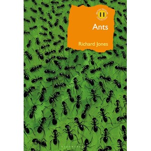 BRITISH WILDLIFE COLLECTION 11: ANTS