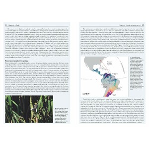 VAGRANCY IN BIRDS_1