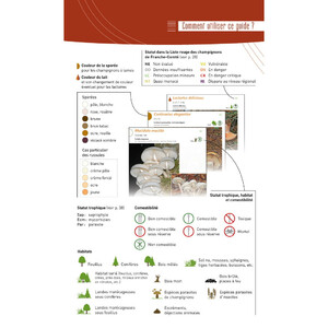 A LA DÉCOUVERTE DES CHAMPIGNONS DE BOURGOGNE-FRANCHE-COMTÉ_1