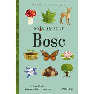 MÓN AMAGAT. BOSC