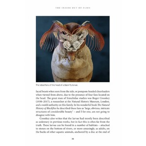 THE INSIDE OUT OF FLIES_1