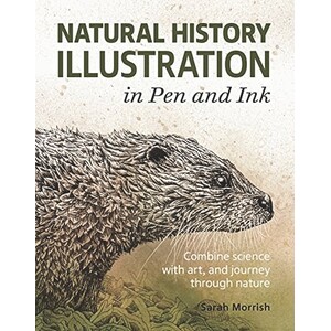 NATURAL HISTORY ILLUSTRATION IN PEN AND INK