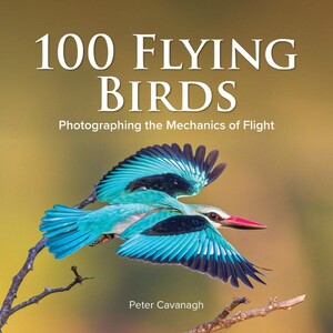 100 FLYING BIRDS. PHOTOGRAPHING THE MECHANICS OF FLIGHT