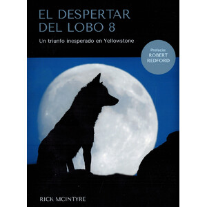 EL DESPERTAR DEL LOBO 8. UN TRIUNFO INESPERADO EN YELLOWSTONE