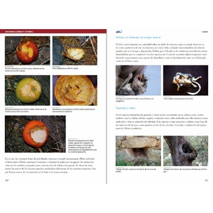 VIDA Y SEÑALES DE LOS MICROMAMÍFEROS IBÉRICOS 6