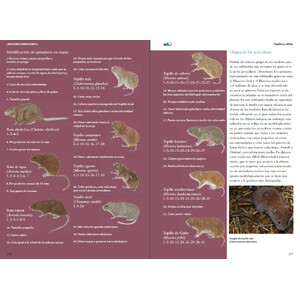 VIDA Y SEÑALES DE LOS MICROMAMÍFEROS IBÉRICOS 8
