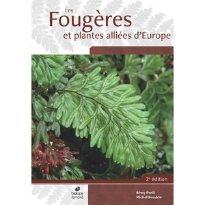 LES FOUGÈRES ET PLANTES ALLIÉES D'EUROPE