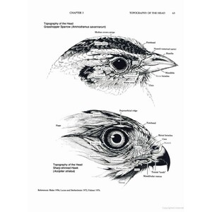 MANUAL OF ORNITHOLOGY: AVIAN STRUCTURE AND FUNCTION 3