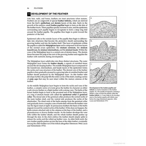 MANUAL OF ORNITHOLOGY: AVIAN STRUCTURE AND FUNCTION 4