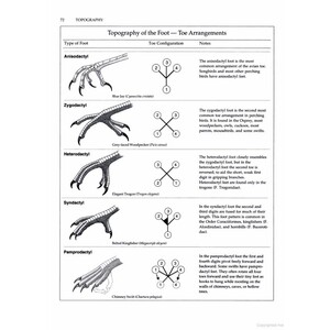 MANUAL OF ORNITHOLOGY: AVIAN STRUCTURE AND FUNCTION 6
