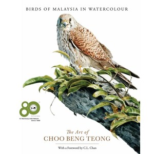 BIRDS OF MALAYSIA IN WATERCOLOUR