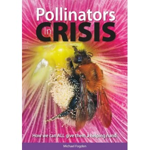 POLLINATORS IN CRISIS. HOW WE CAN ALL GIVE HIM A HELPING HAND
