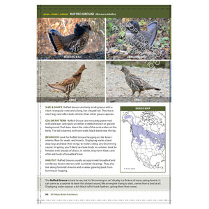 THE CORNELL LAB OF ORNITHOLOGY. REGIONAL FIELD GUIDE SERIES. ALL ABOUT BIRDS NORTHWEST: NORTHWEST US AND CANADA 2