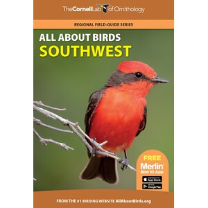THE CORNELL LAB OF ORNITHOLOGY. REGIONAL FIELD GUIDE SERIES. ALL ABOUT BIRDS SOUTHWEST 1