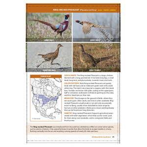 THE CORNELL LAB OF ORNITHOLOGY. REGIONAL FIELD GUIDE SERIES. ALL ABOUT BIRDS SOUTHWEST 2