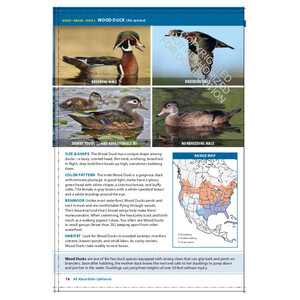 THE CORNELL LAB OF ORNITHOLOGY. REGIONAL FIELD GUIDE SERIES. ALL ABOUT BIRDS CALIFORNIA 3
