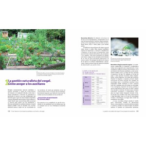 INSECTOS QUE AYUDAN AL HUERTO Y VERGEL ECOLÓGICO 4