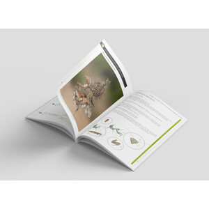 GUÍA DE IDENTIFICACIÓN DE LAS MANTIS IBÉRICAS (MANTODEA) VOL. 2_1