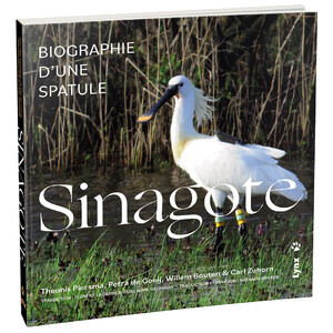 SINAGOTE. BIOGRAPHIE D'UNE SPATULE 4