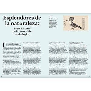 LAS AVES. LA EDAD DE ORO DE LA ILUSTRACIÓN DE LAS AVES 3