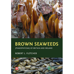 BROWN SEAWEEDS (PHAEOPHYCEAE) OF BRITAIN AND IRELAND