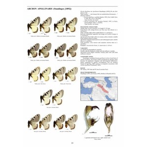 GUIDE TO THE BUTTERFLIES OF THE PALEARTIC REGION. PAPILIONIDAE PART 3 3